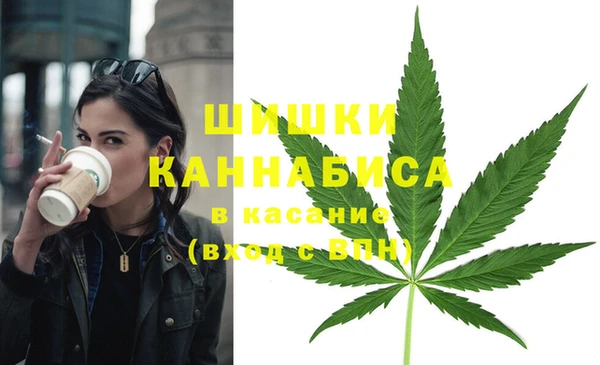 гидра Алексин