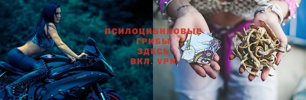 гидра Алексин