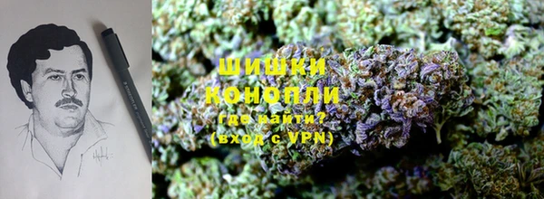 ПСИЛОЦИБИНОВЫЕ ГРИБЫ Абаза