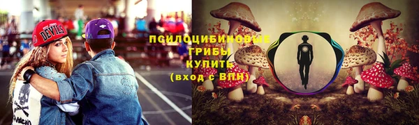 гидра Алексин