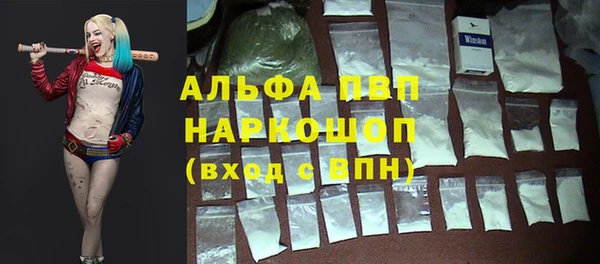 гидра Алексин