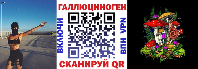 Псилоцибиновые грибы Psilocybine cubensis  Нерехта 